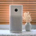 How Much Should You Invest in an Air Purifier?